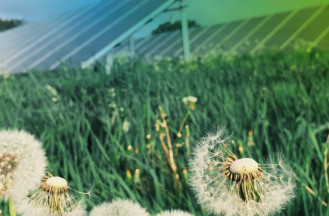 Primavera solar: més hores de llum, més energia renovable